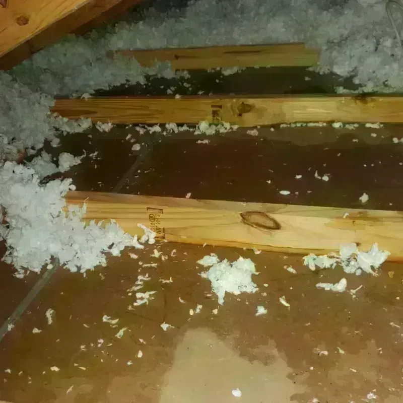 Attic Water Damage in Lake Mills, WI