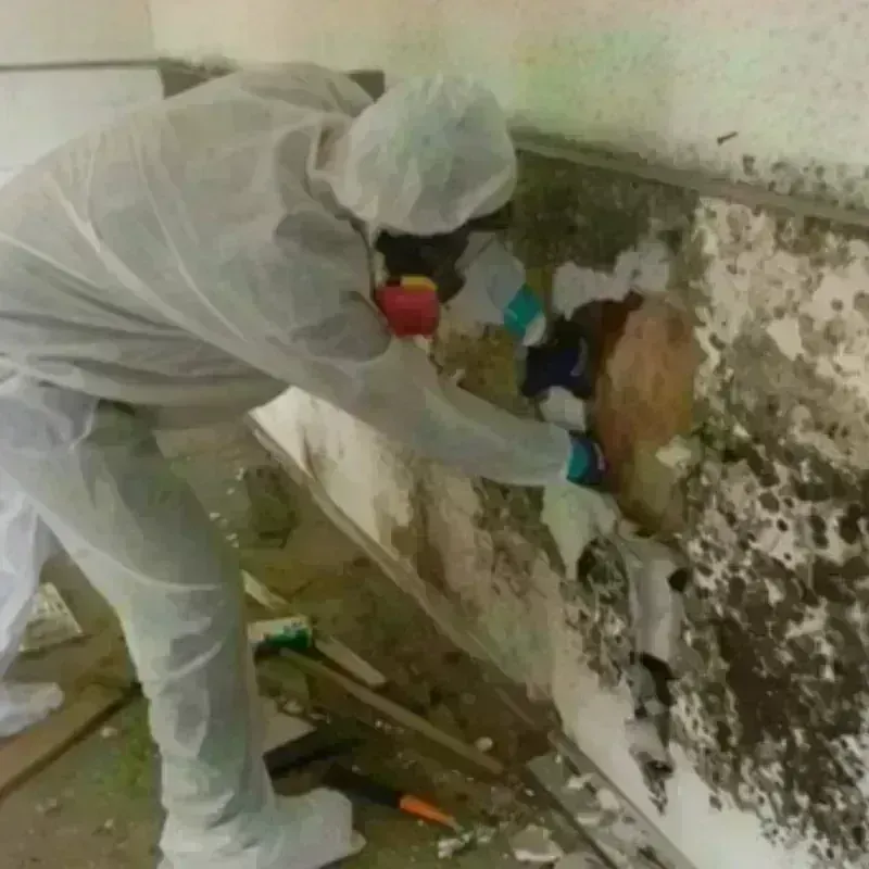 Mold Remediation and Removal in Lake Mills, WI