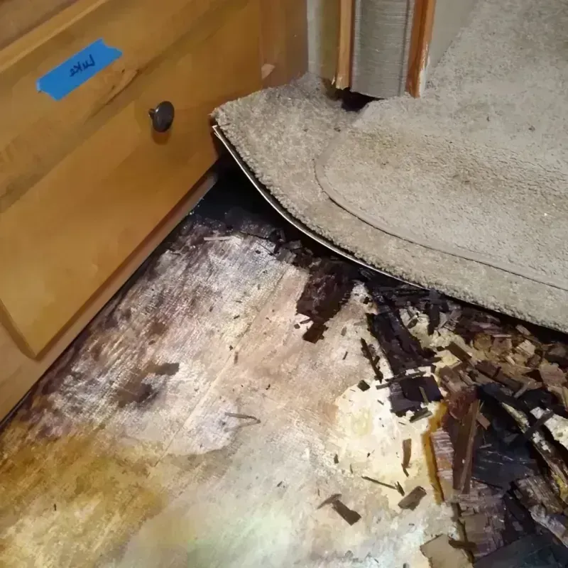 Wood Floor Water Damage in Lake Mills, WI